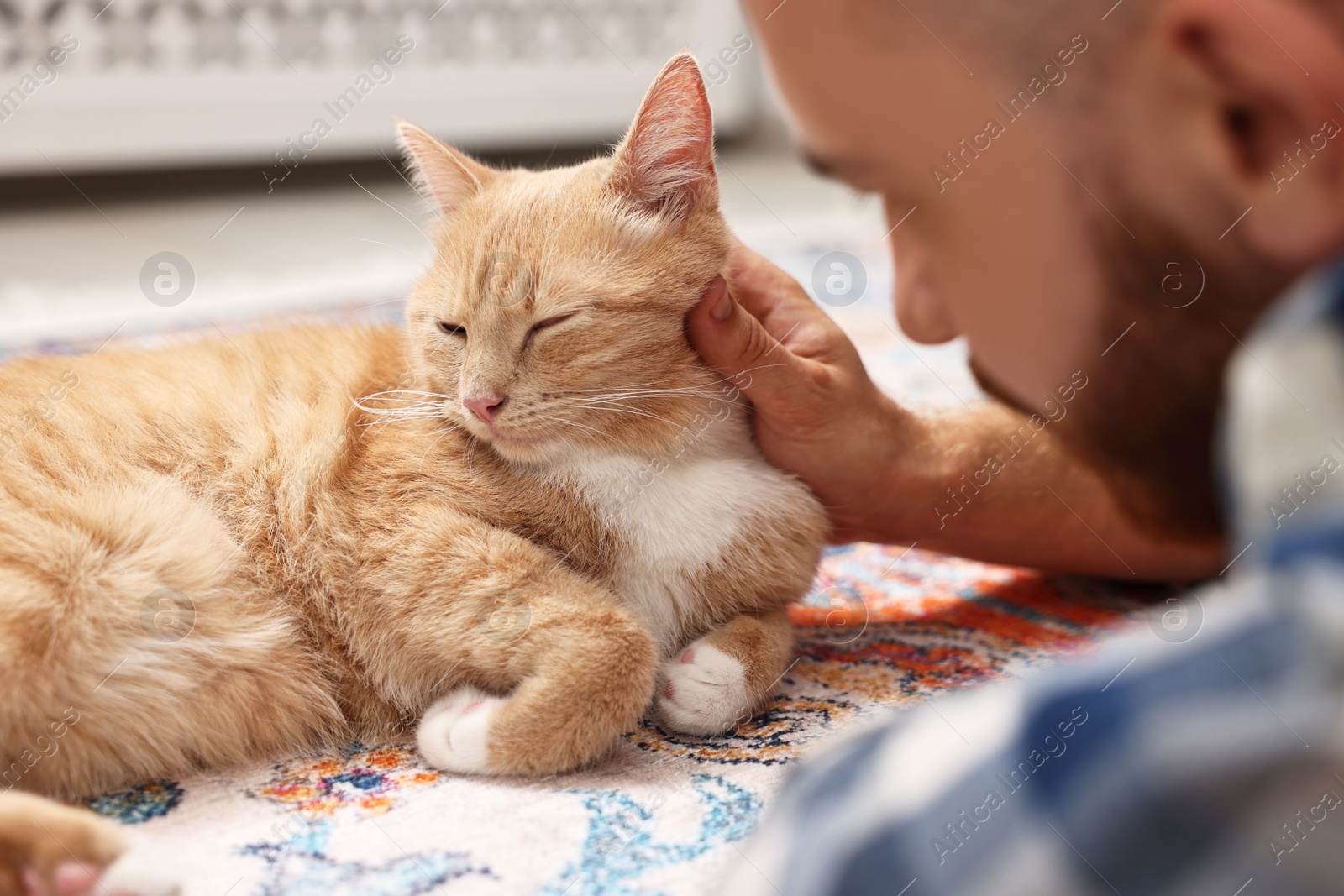 Photo of Man petting cute ginger cat on floor at home, closeup