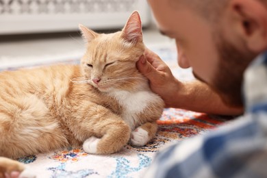 Man petting cute ginger cat on floor at home, closeup