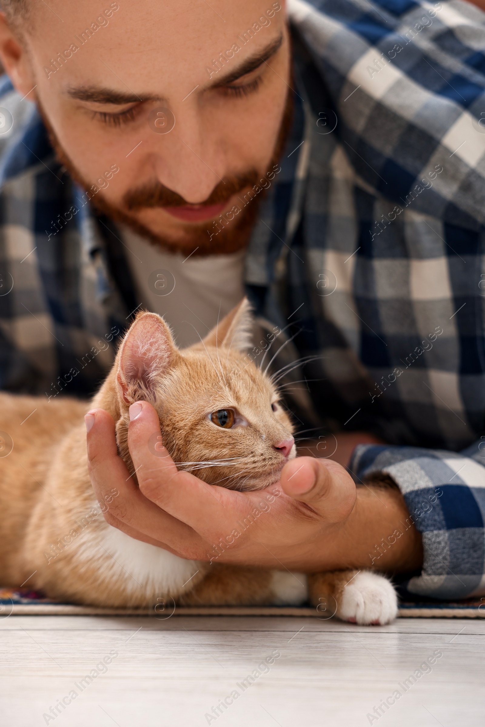 Photo of Man petting cute ginger cat on floor at home