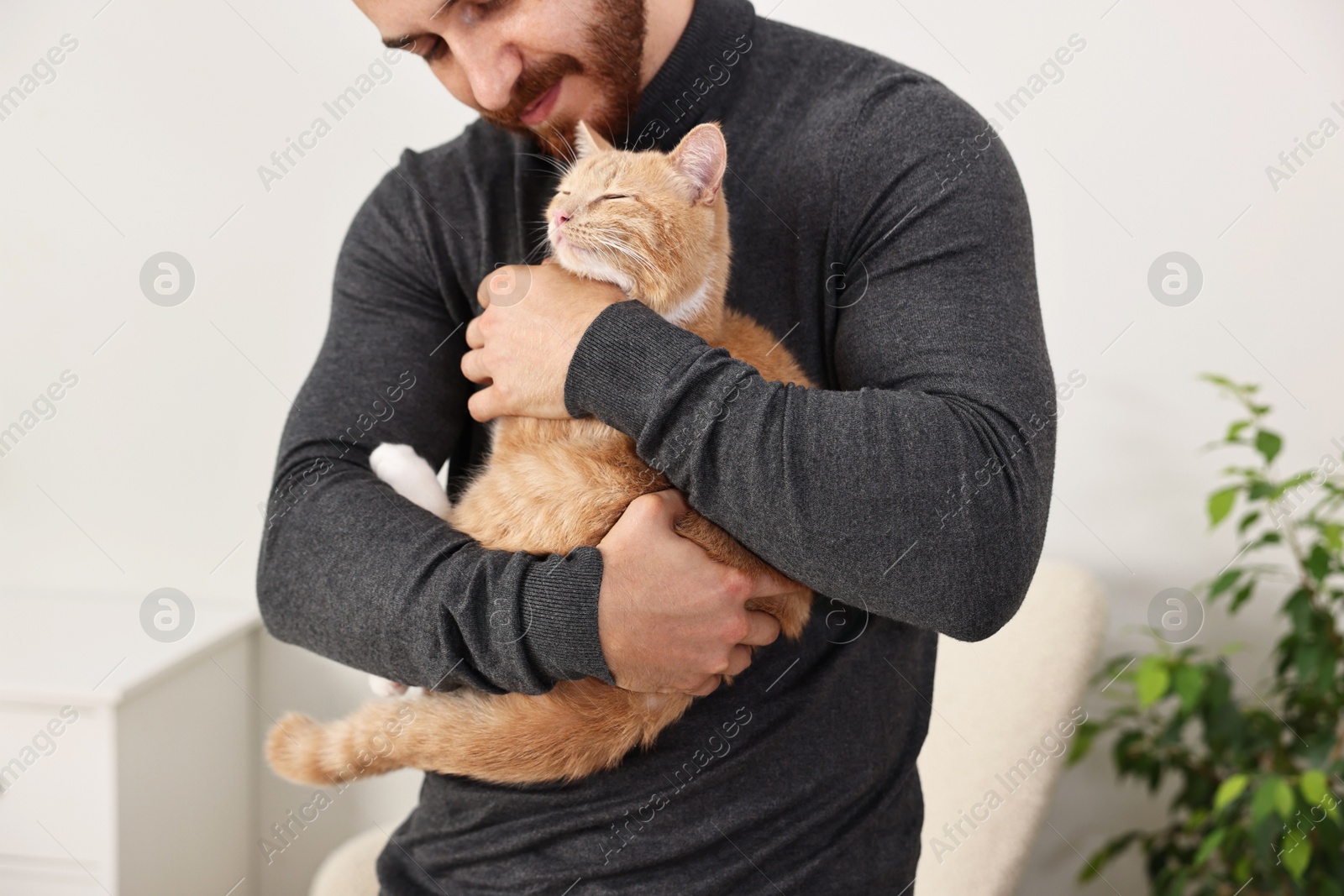 Photo of Man petting cute ginger cat at home, closeup