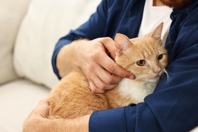 Photo of Man petting cute ginger cat on sofa at home, closeup