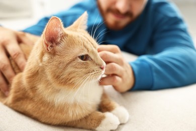 Man petting cute ginger cat on sofa at home, closeup