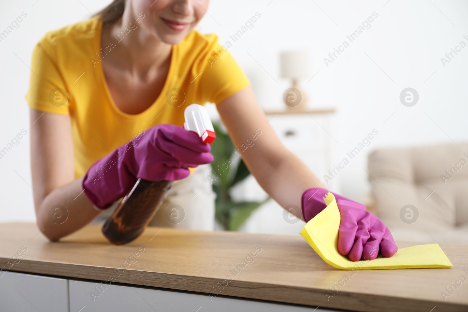 Photo of Woman cleaning table with rag and spray at home, closeup