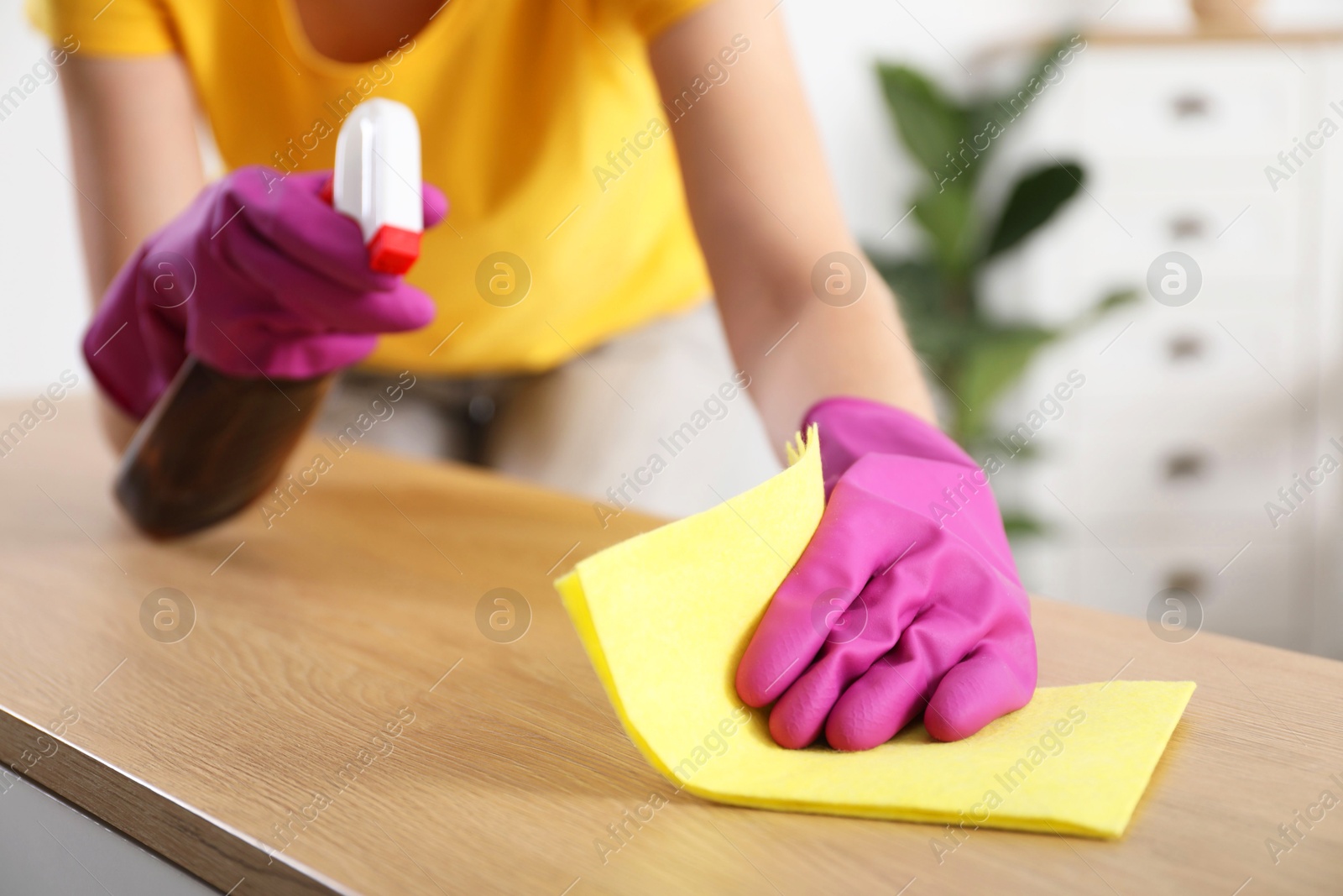 Photo of Woman cleaning table with rag and spray at home, closeup