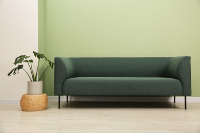 Photo of Stylish sofa and houseplant near green wall indoors