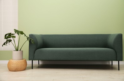 Photo of Stylish sofa and houseplant near green wall indoors