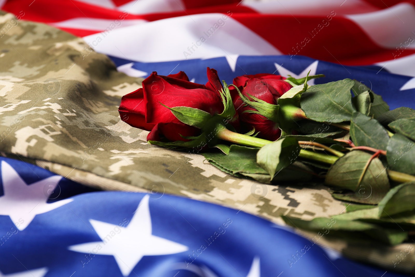 Photo of Veterans day. Rose flowers and military uniform on American flag, closeup