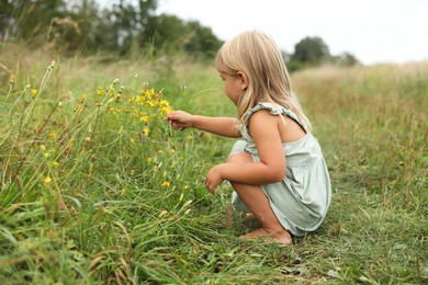 Photo of Cute little girl picking flowers at meadow. Child enjoying beautiful nature