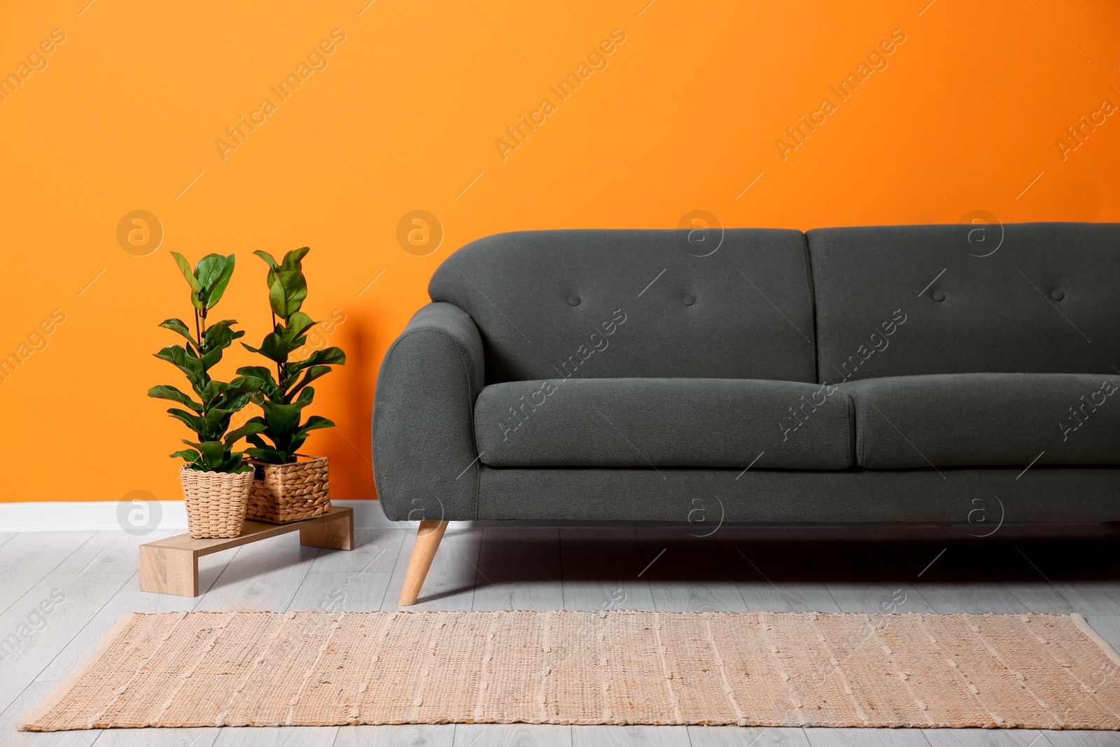 Photo of Stylish sofa and plants near orange wall