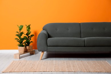 Photo of Stylish sofa and plants near orange wall