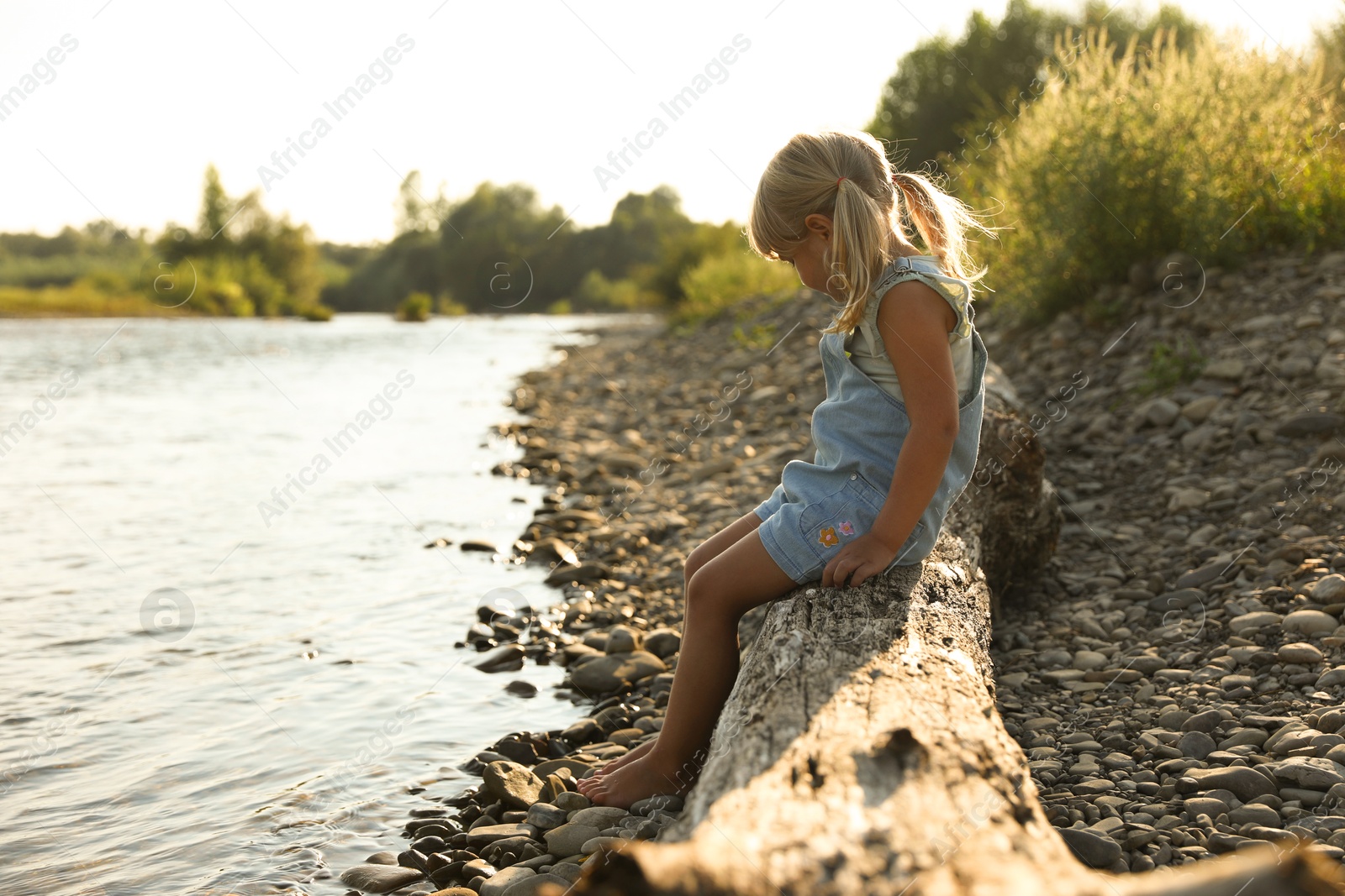 Photo of Cute little girl sitting on tree trunk near river. Child enjoying beautiful nature