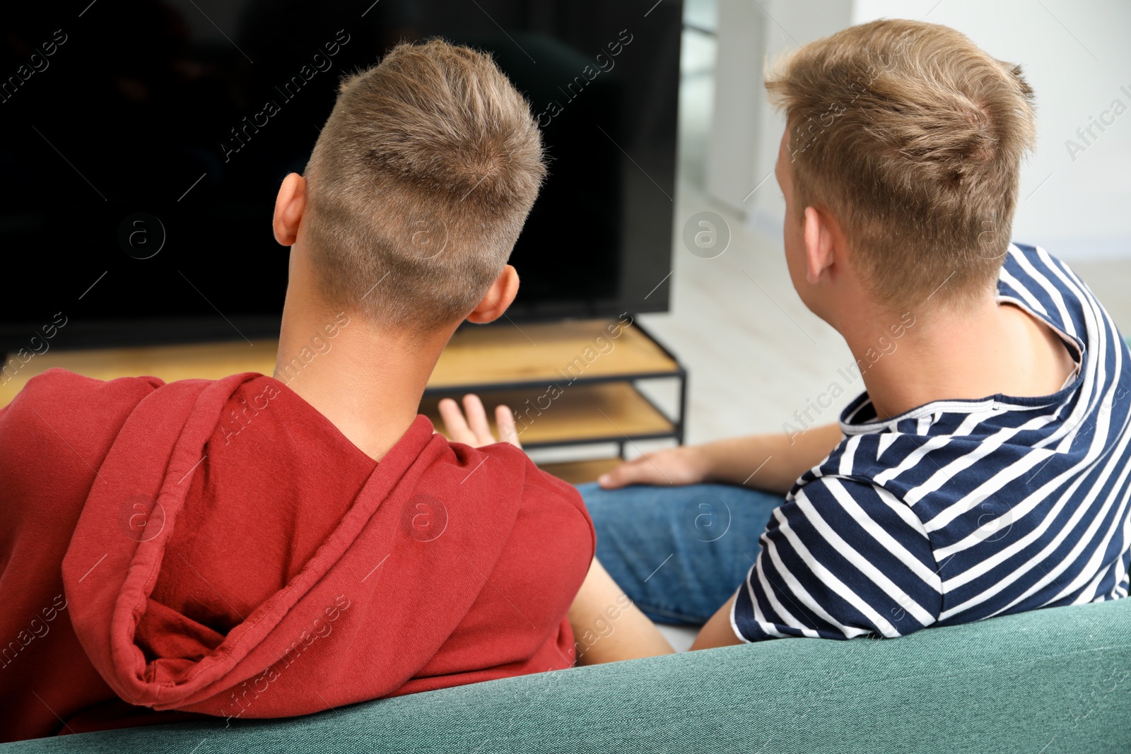 Photo of Young brothers spending time together on sofa at home, back view