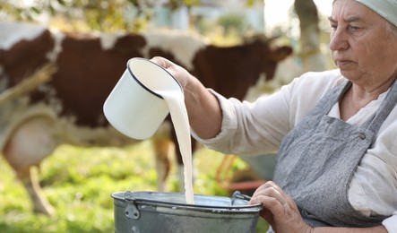 Photo of Senior woman pouring fresh milk into bucket outdoors