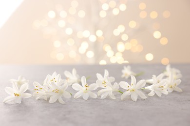 Photo of Beautiful jasmine flowers on grey surface against beige background with blurred lights, closeup