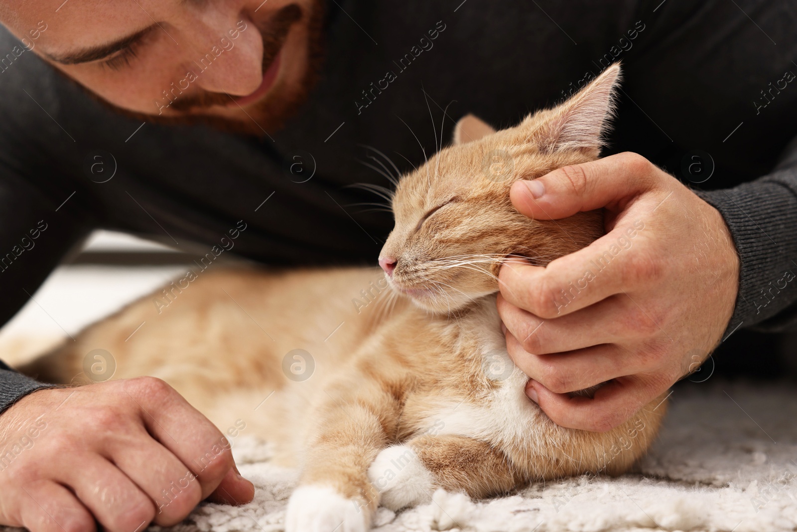 Photo of Man petting cute ginger cat on floor at home, closeup