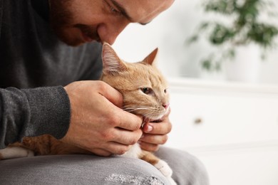 Photo of Man petting cute ginger cat on armchair at home