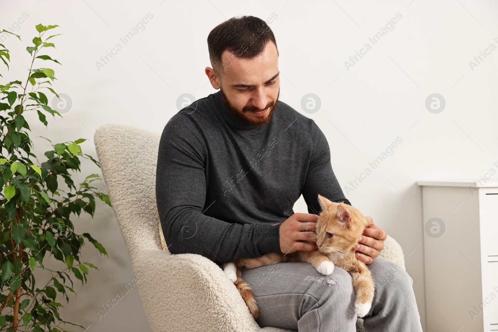 Photo of Man petting cute ginger cat on armchair at home