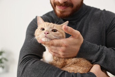 Man petting cute ginger cat at home, closeup