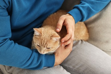 Photo of Man petting cute ginger cat on sofa at home, closeup