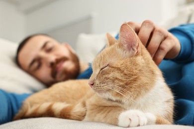 Photo of Man petting cute ginger cat on sofa at home, selective focus