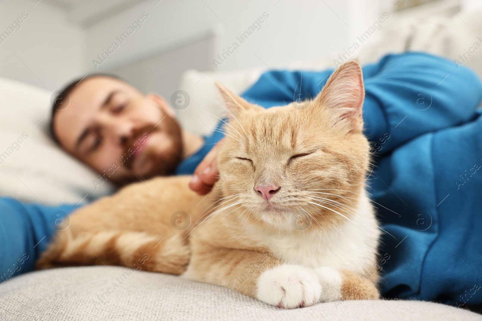 Photo of Man petting cute ginger cat on sofa at home, selective focus