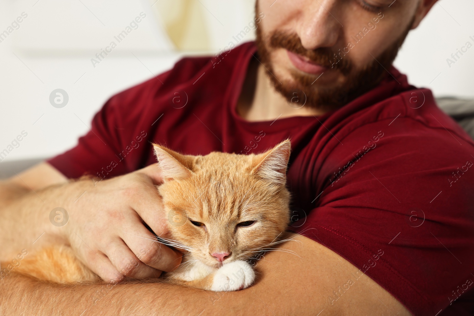 Photo of Man petting cute ginger cat on armchair at home, closeup