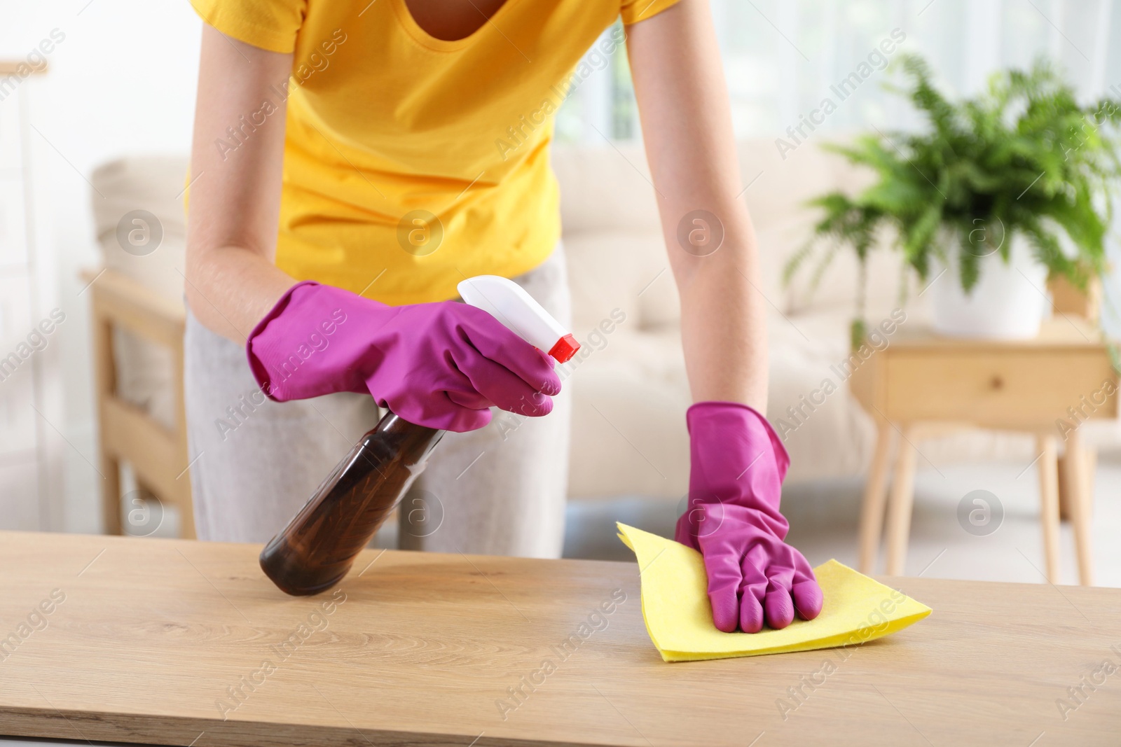 Photo of Woman cleaning table with rag and spray at home, closeup