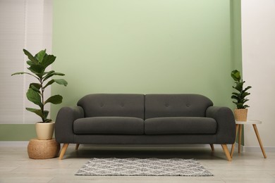 Photo of Stylish sofa and houseplants near green wall indoors