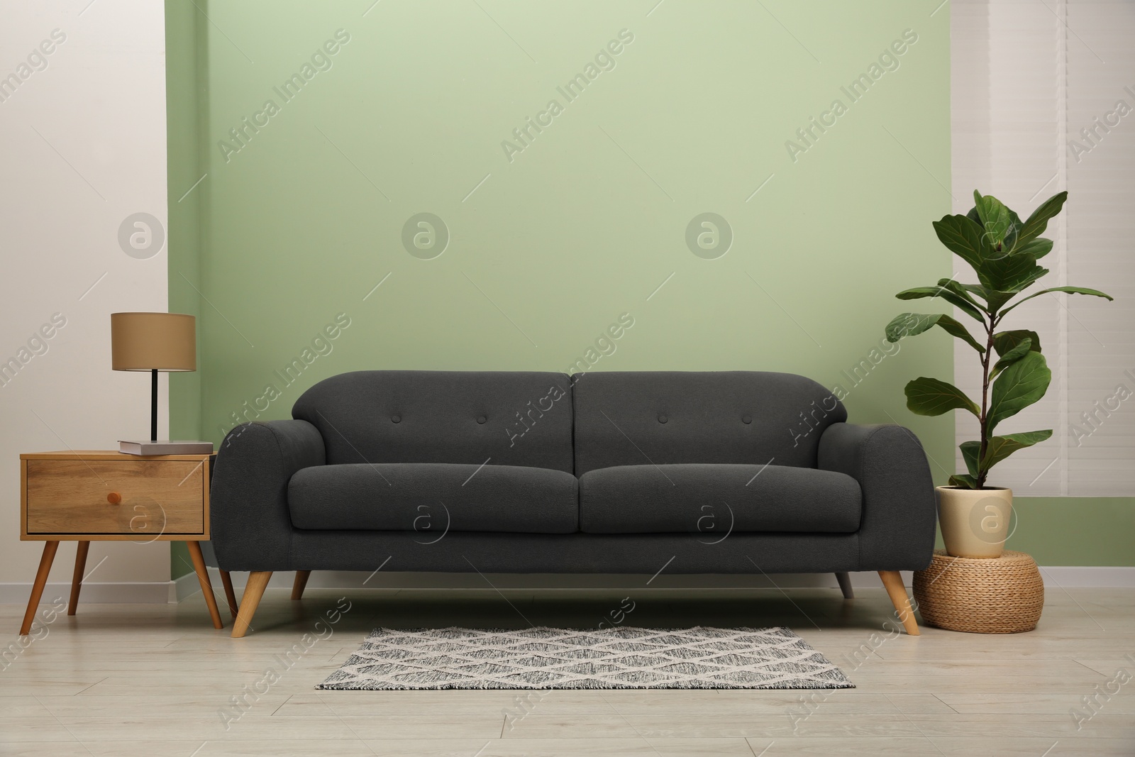 Photo of Stylish sofa, side table and houseplant near green wall indoors