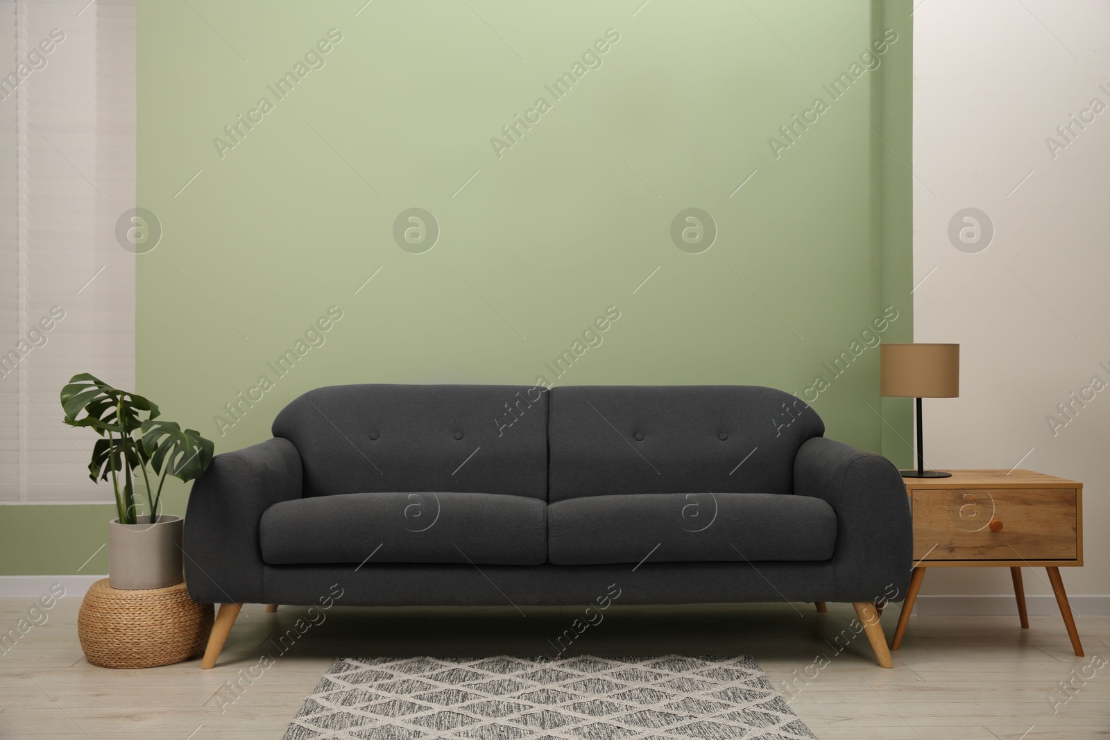 Photo of Stylish sofa, side table and houseplant near green wall indoors