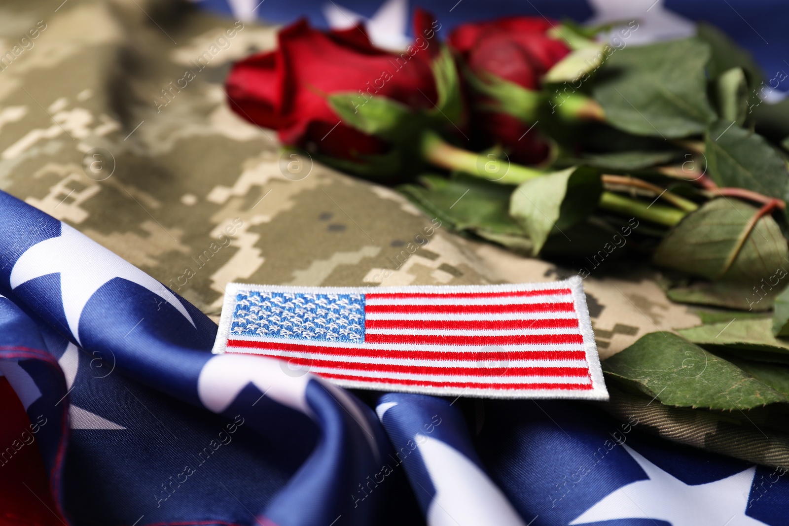 Photo of Veterans day. USA army patch, rose flowers and military uniform on American flag, closeup