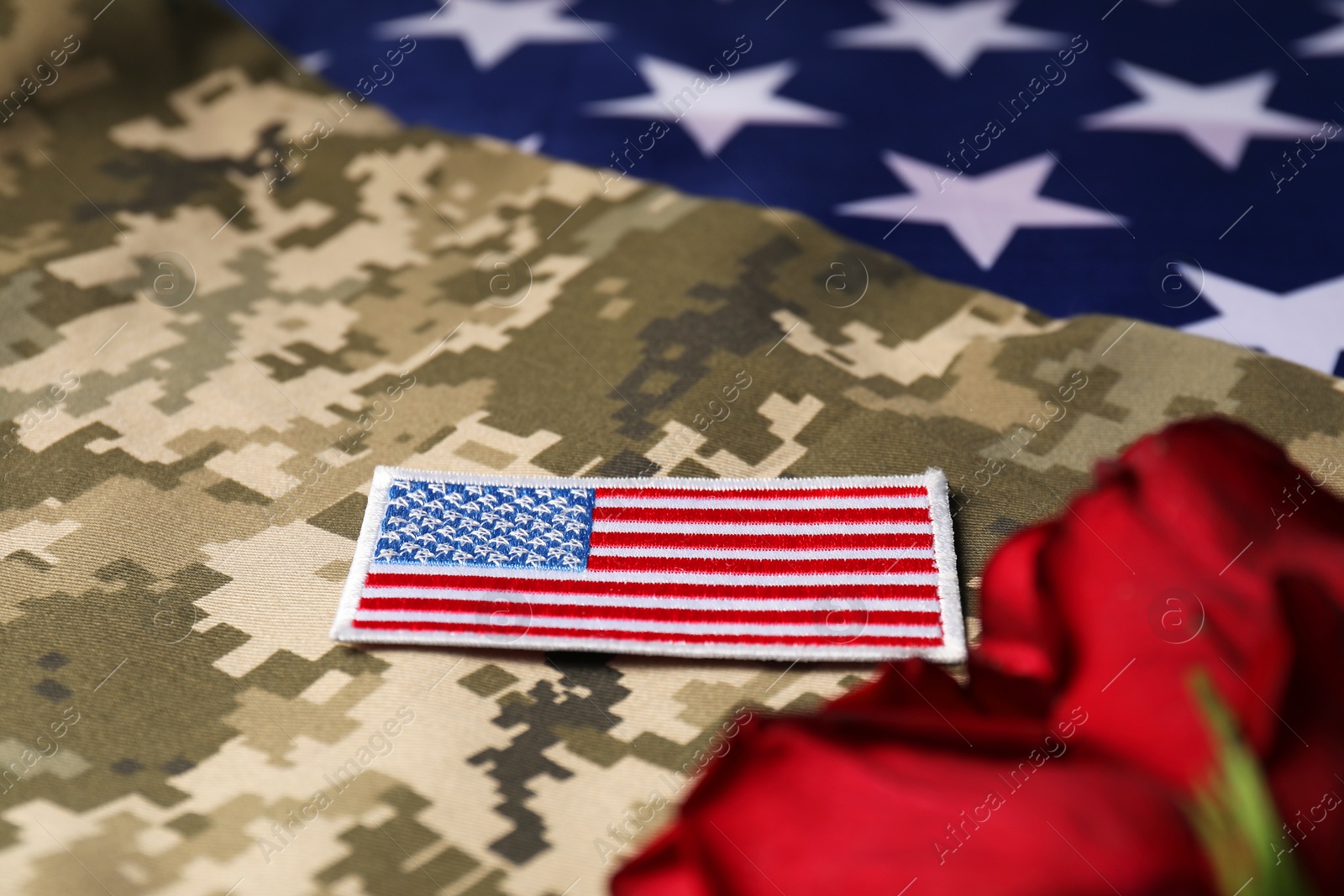 Photo of Veterans day. USA army patch and rose flowers on camouflage fabric, closeup