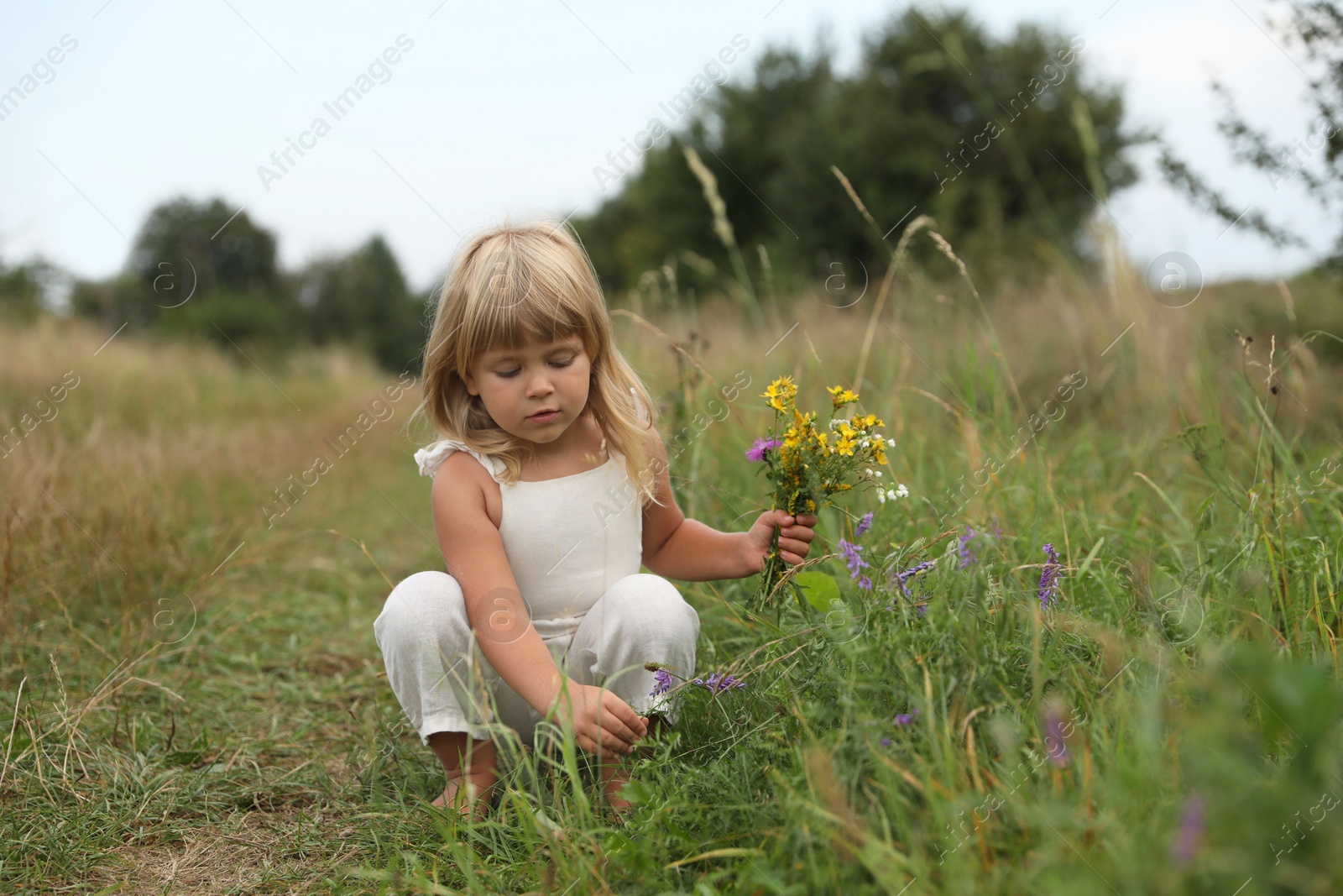 Photo of Cute little girl picking flowers at meadow. Child enjoying beautiful nature