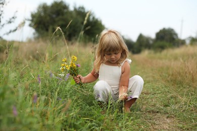 Photo of Cute little girl picking flowers at meadow. Child enjoying beautiful nature