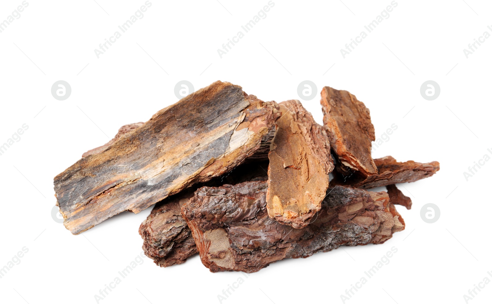 Pieces of tree bark on white background Photo of Pieces of tree bark on white background
