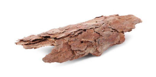 Photo of One piece of tree bark on white background