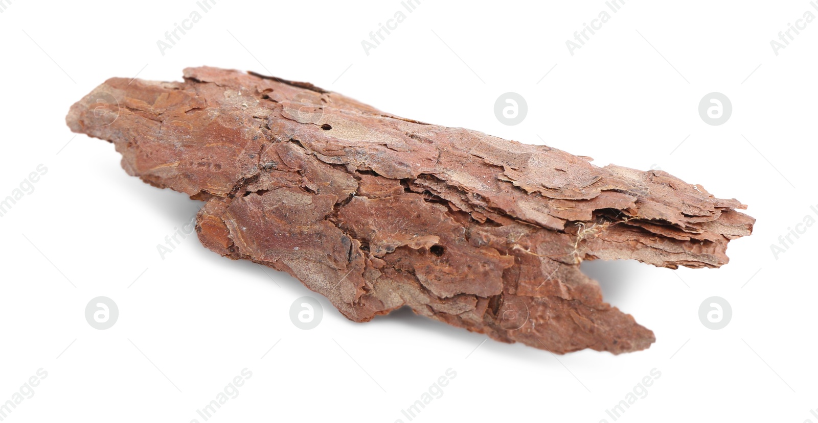 One piece of tree bark on white background Photo of One piece of tree bark on white background