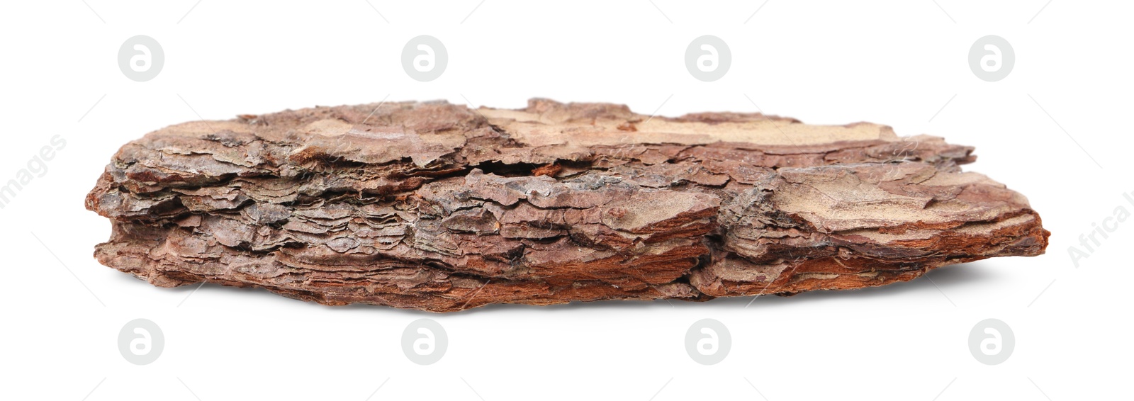 Photo of One piece of tree bark on white background