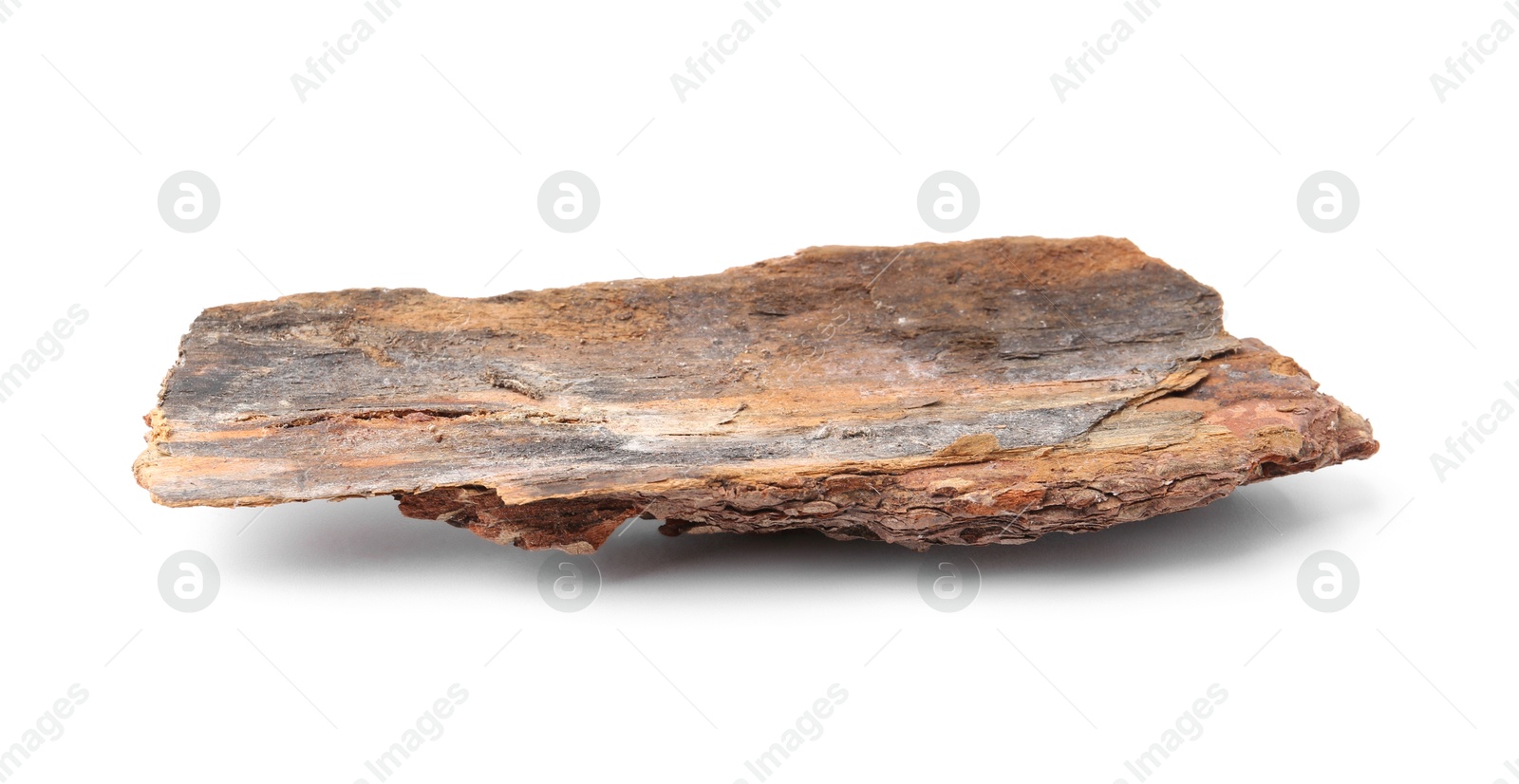 Photo of One piece of tree bark on white background