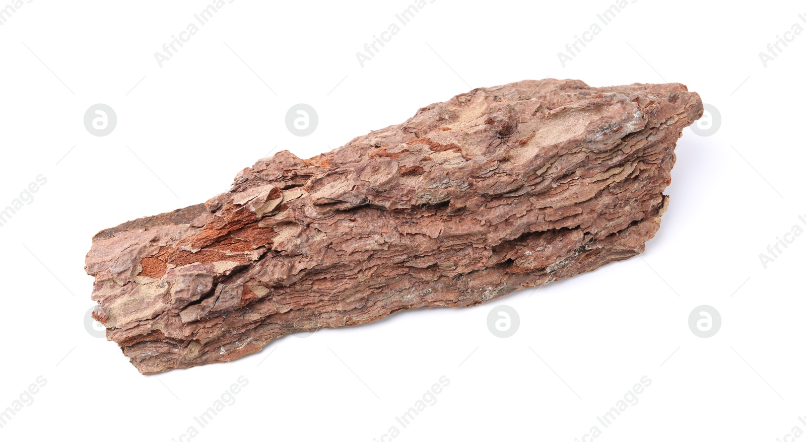 Photo of One piece of tree bark on white background, top view