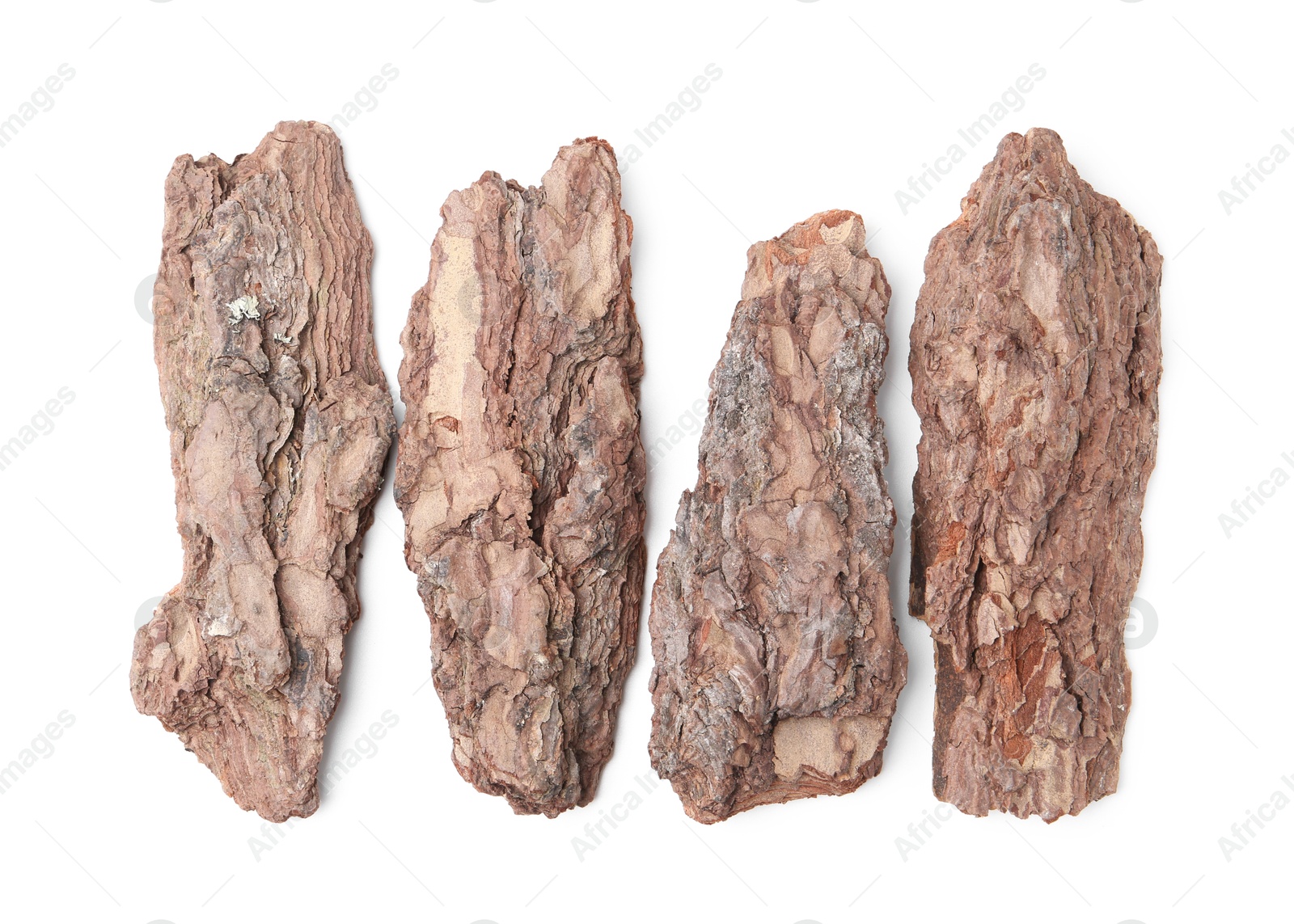 Photo of Pieces of tree bark on white background, top view