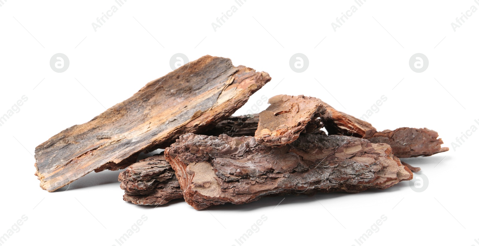 Photo of Pieces of tree bark on white background