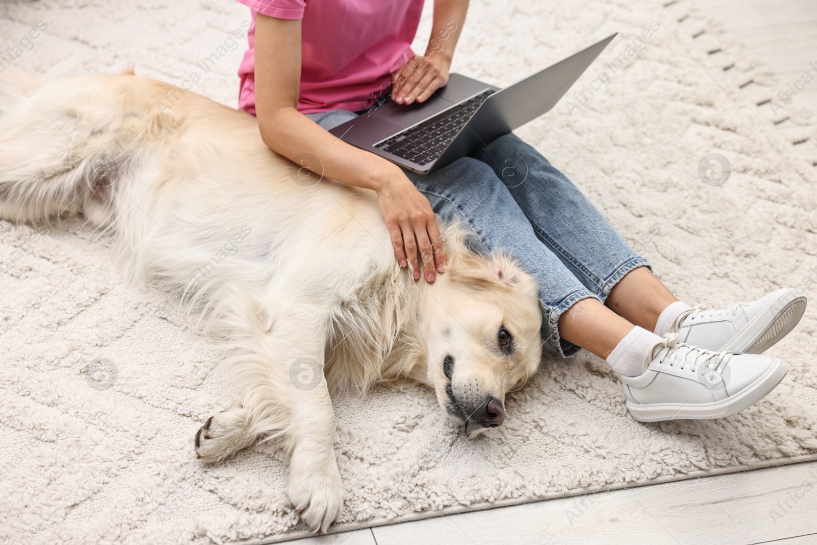 Photo of Online pet shop. Woman with laptop making order for cute Golden Retriever dog on rug at home, closeup