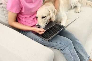 Photo of Online pet shop. Woman with laptop making order for cute Golden Retriever dog at home, closeup