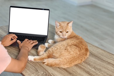 Online pet shop. Woman with laptop, credit card and cute cat making order at wooden table indoors, closeup