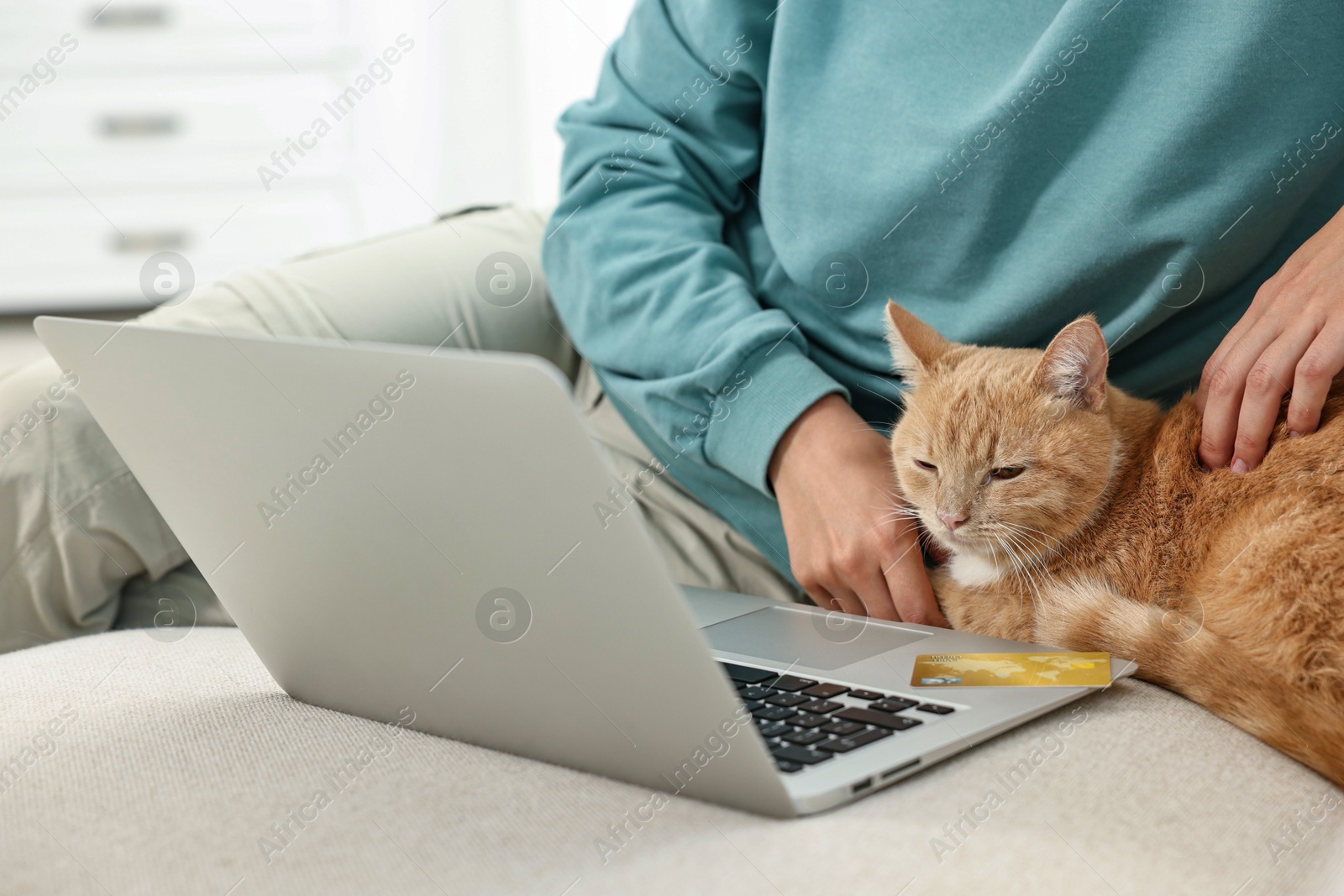 Photo of Online pet shop. Woman with laptop, credit card and cute cat making order on sofa at home, closeup