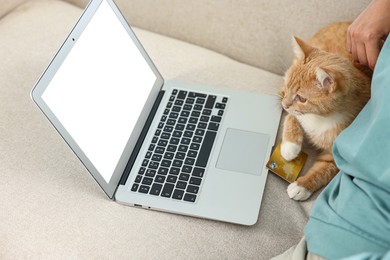 Online pet shop. Woman with laptop, credit card and cute cat making order on sofa at home, closeup