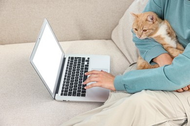 Online pet shop. Woman with laptop making order and cute cat on sofa at home, closeup