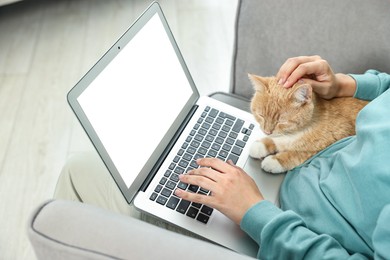 Online pet shop. Woman with laptop making order and cute cat on sofa at home, closeup