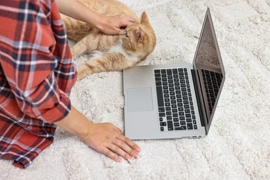 Online pet shop. Woman with laptop making order and cute cat on rug at home, closeup